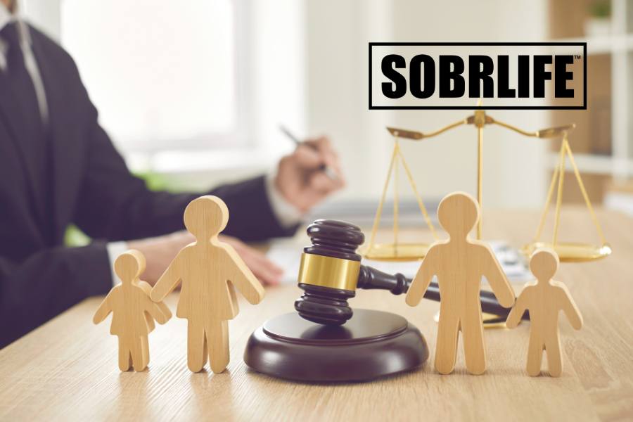 What are the Best Ways to Regain Custody After Drug Abuse?