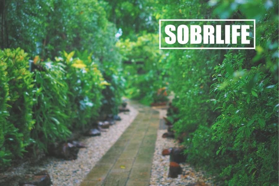 Rehab Off the Beaten Path