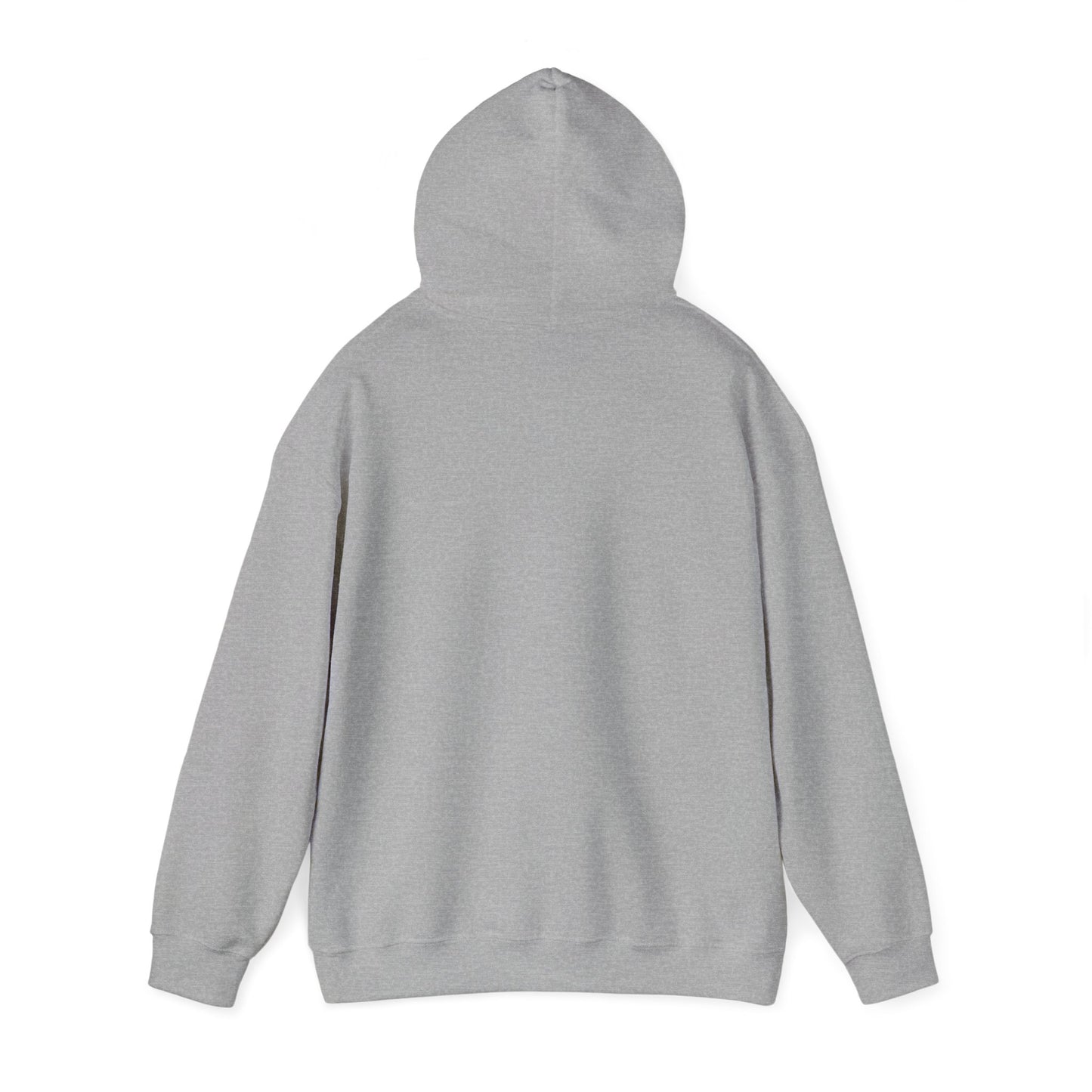 SOBRLIFE Unisex Hoodie - Heavy Blend Sweatshirt