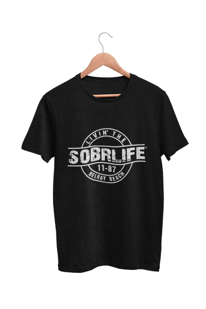 Unisex Sober Celebration T-Shirt